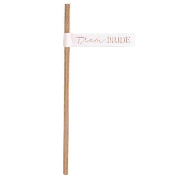 Team Bride Flag Hen Party Straws (Pack of 16) - The Hen Planner